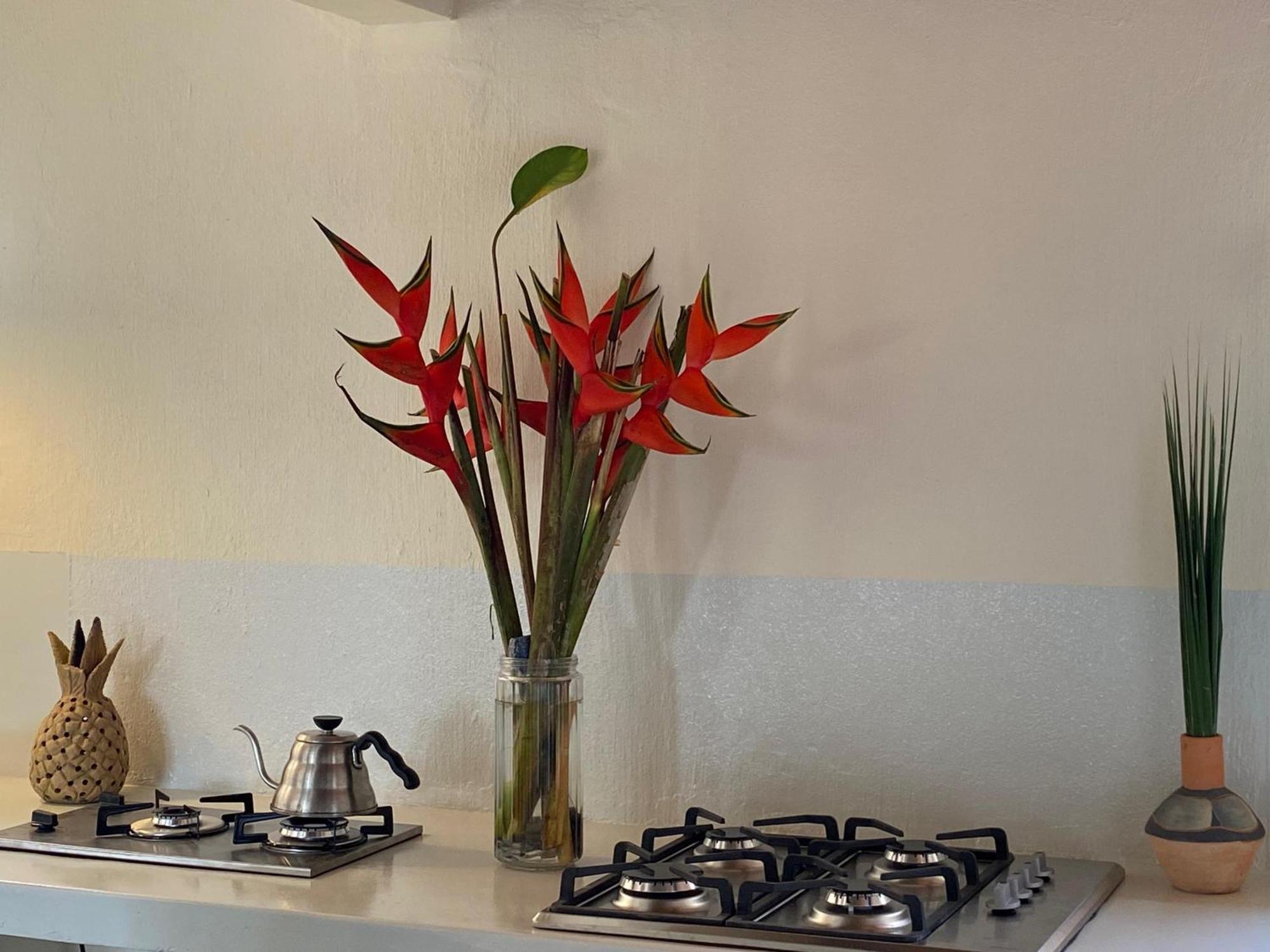 Teiu Hostel 托兰克索 外观 照片