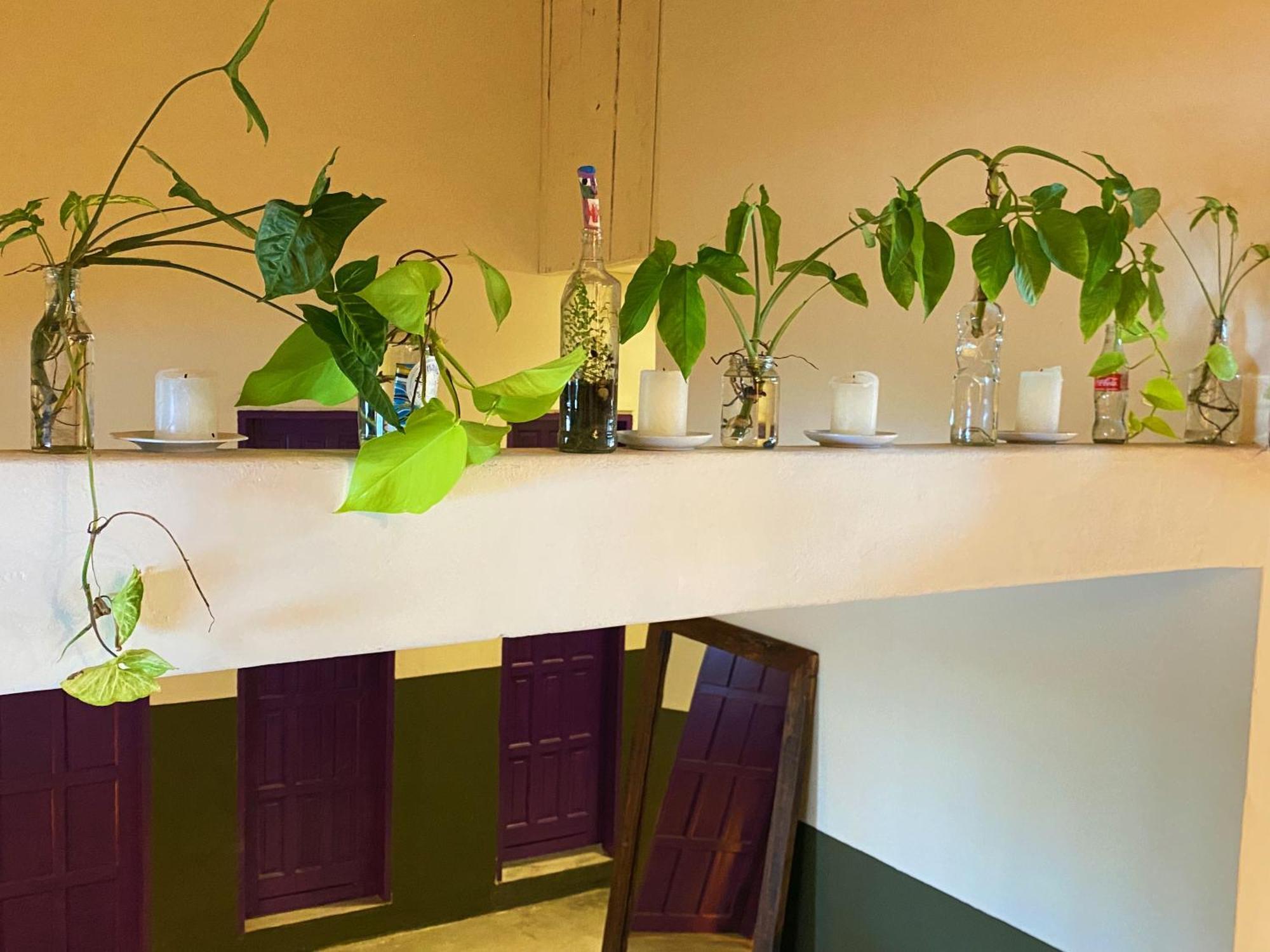 Teiu Hostel 托兰克索 外观 照片